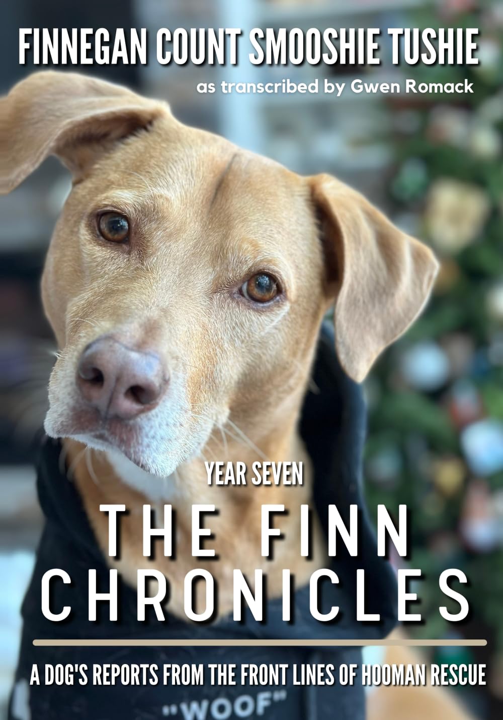 The Finn Chronicles — used book cover