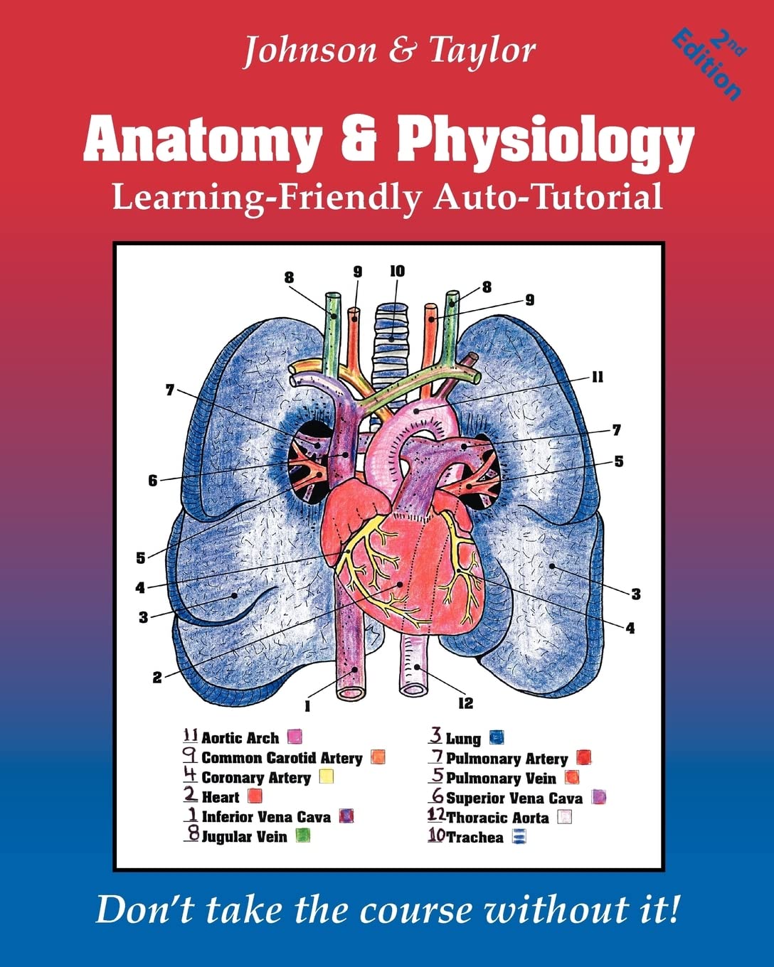 Anatomy &amp; Physiology Learning-Friendly Auto-Tutorial — used book cover