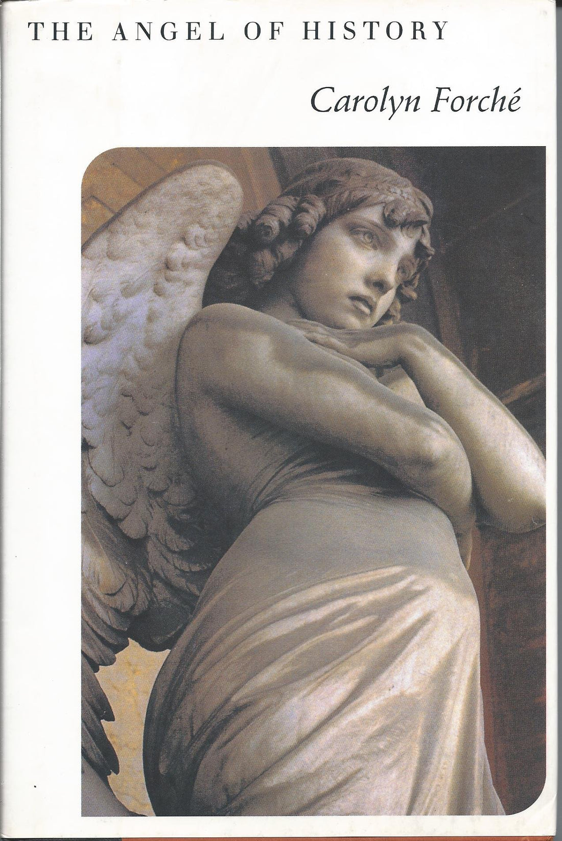 The Angel of History