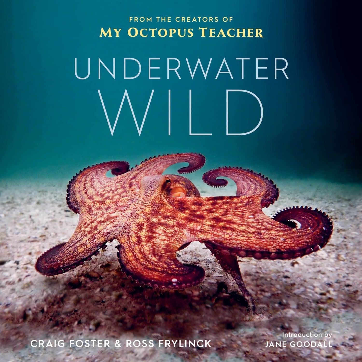 Underwater Wild: My Octopus Teacher&