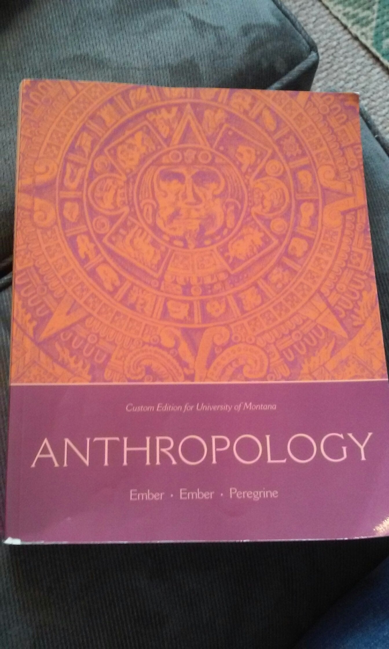 ANTHROPOLOGY >CUSTOM< — used book cover