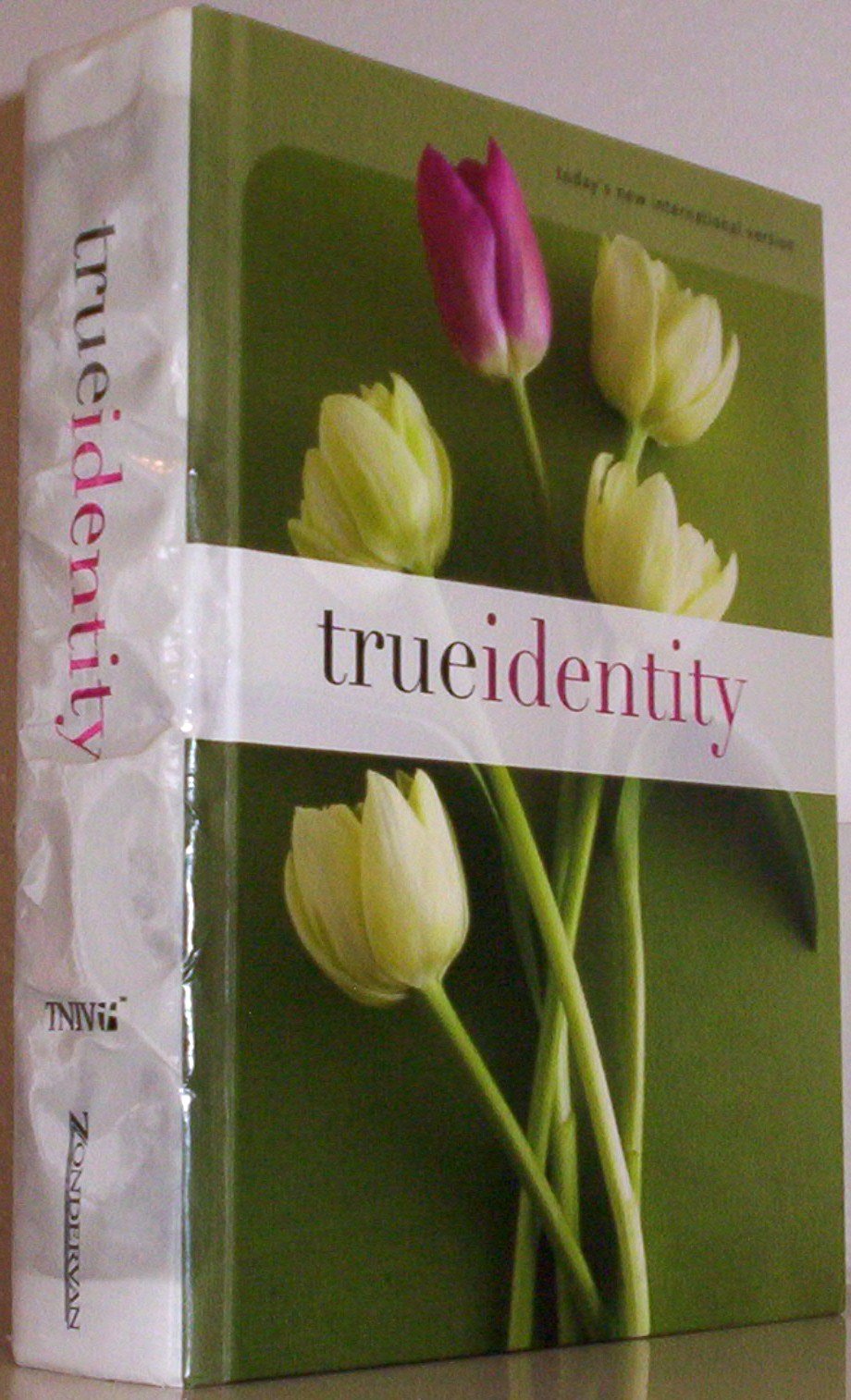 True Identity: The Bible for Women (TNIV) — used book cover