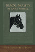 The Illustrated Black Beauty — used book cover