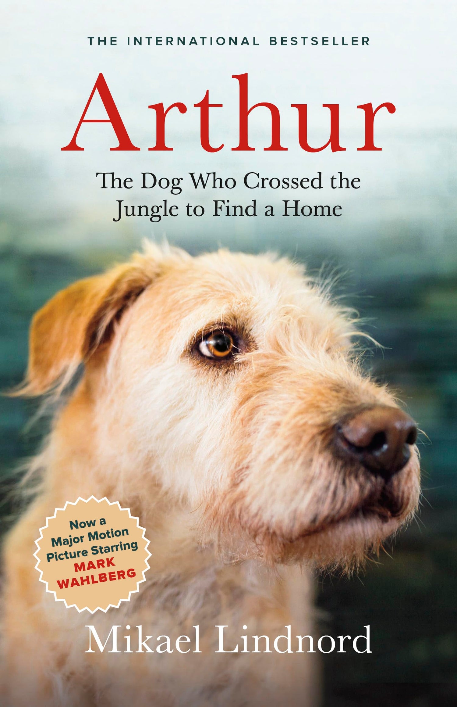 Arthur: The Dog who Crossed the Jungle to Find a Home ((Now the Film Arthur the King))