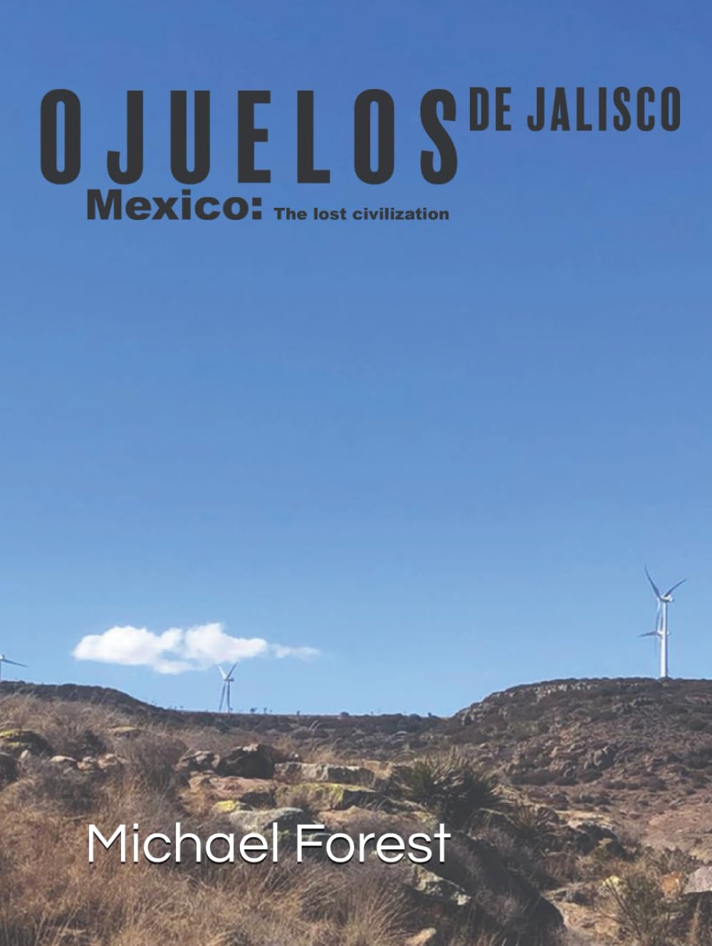 Ojuelos de Jalisco, Mexico - The lost civilization — used book cover