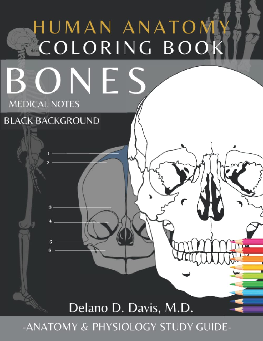 Human Anatomy Coloring Book: Bones | Black Background | Detailed Illustrations: Anatomy and Physiology Coloring Study Guide | Perfect Gift for Medical School Students, Doctors, Nurses and Adults