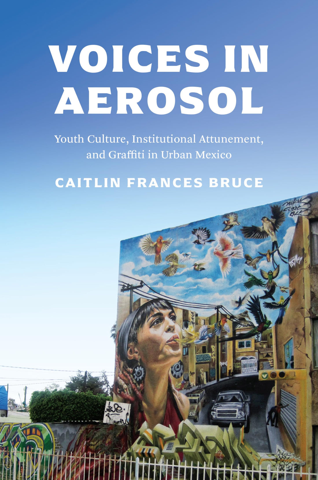 Voices in Aerosol: Youth Culture, Institutional Attunement, and Graffiti in Urban Mexico (Visualidades: Studies in Latin American Visual History)