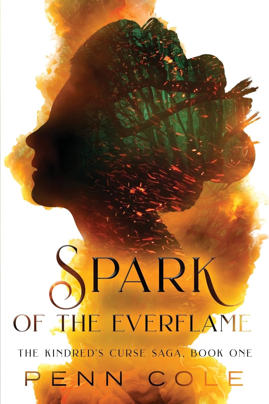 Spark of the Everflame — used book cover